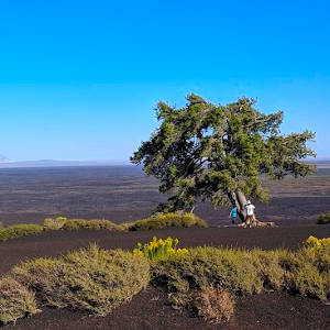 Markdown Syntax Guide